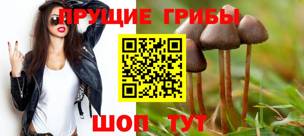 Галлюциногенные грибы прущие грибы Белореченск